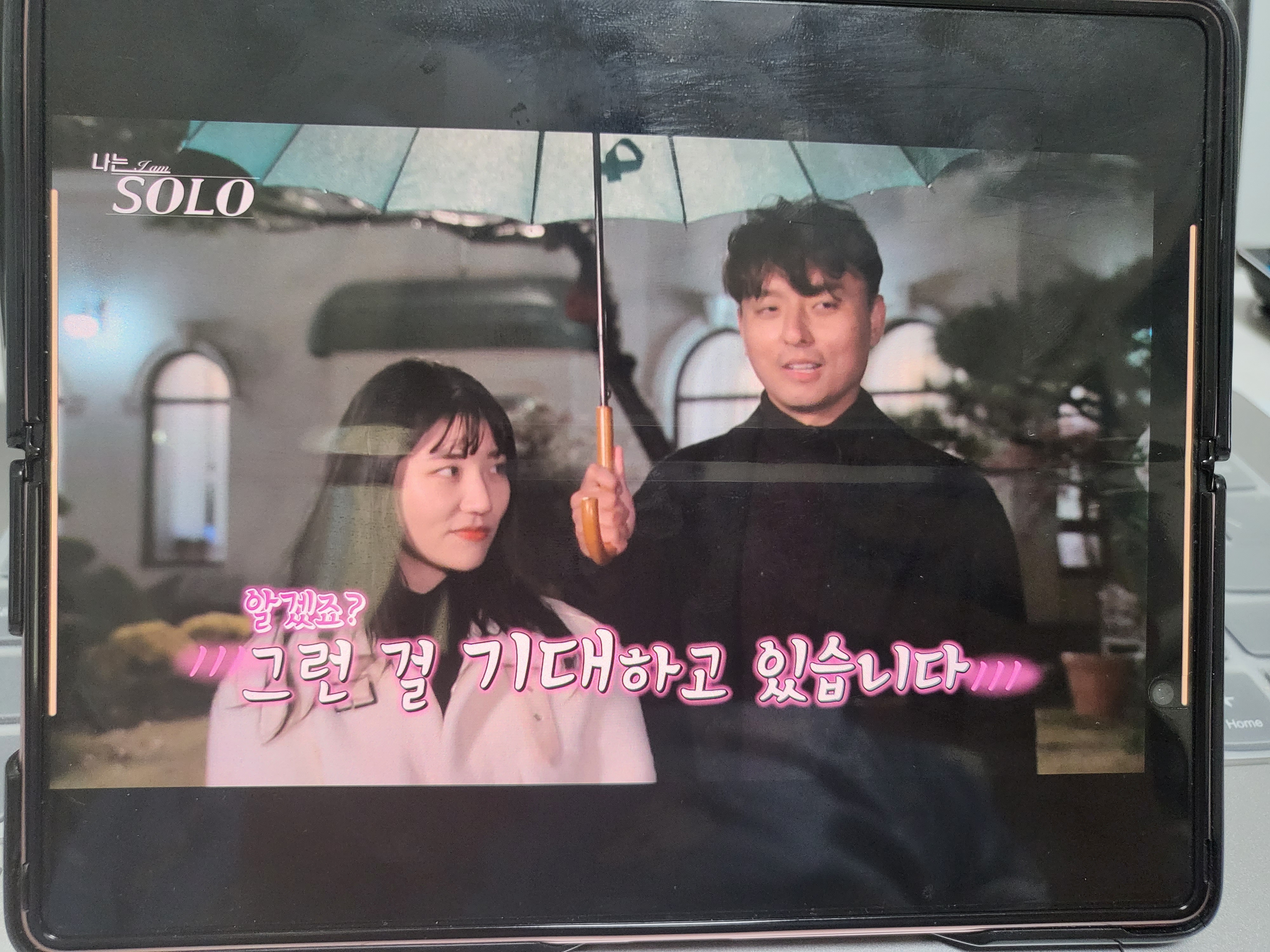 프리디와이