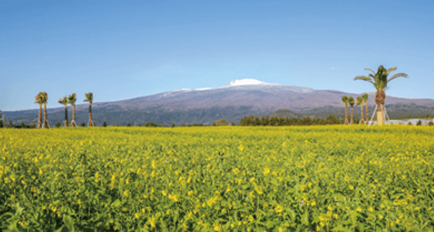 2024년 제주도 2월 축제 가볼만한 곳 추천