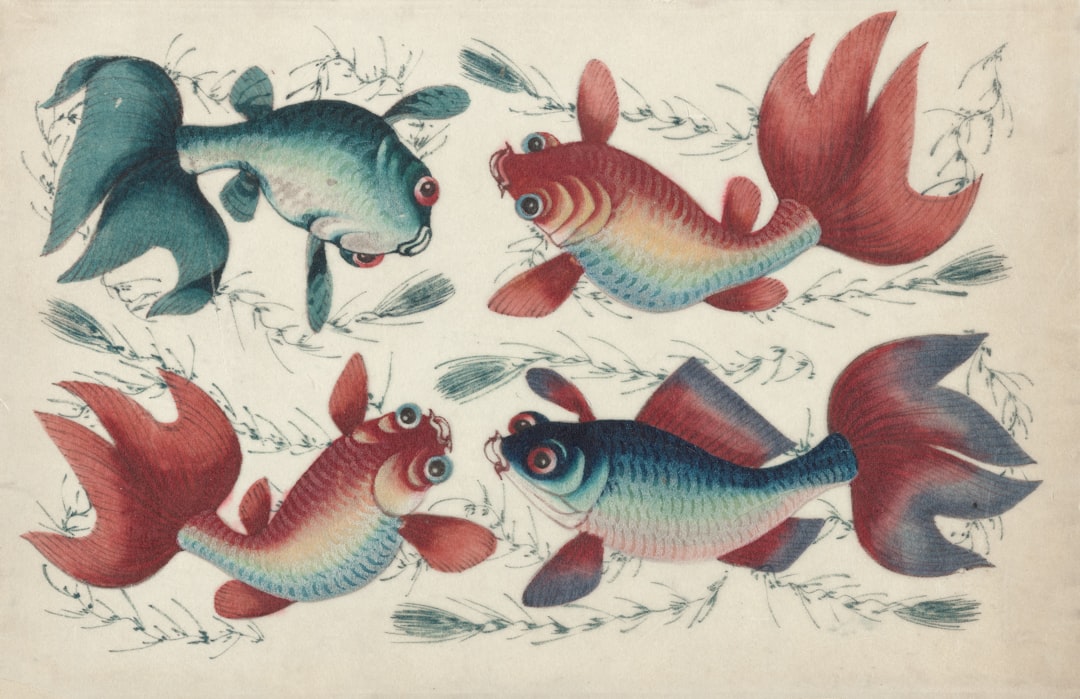 Bonghwang (meaning the species of the fish, typically 'icefish' in English)