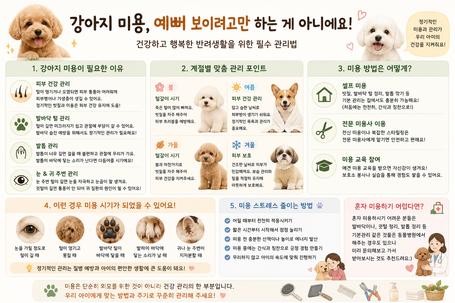 강아지 미용