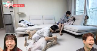이강태 프로필 전참시 이강태 유튜버 포켓멍센터