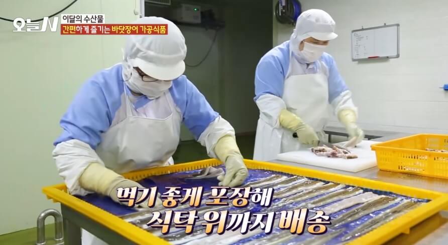 오늘N 이달의 수산물 통영 자연산 바닷장어 구입방법 근해통발수협협동조합 오늘N 2502회