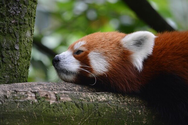 어린이 폭염 안전수칙