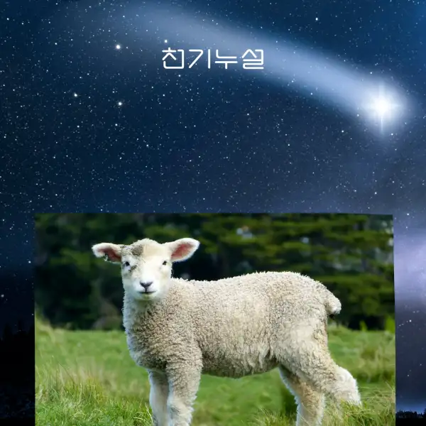 양이 나오는 꿈해몽