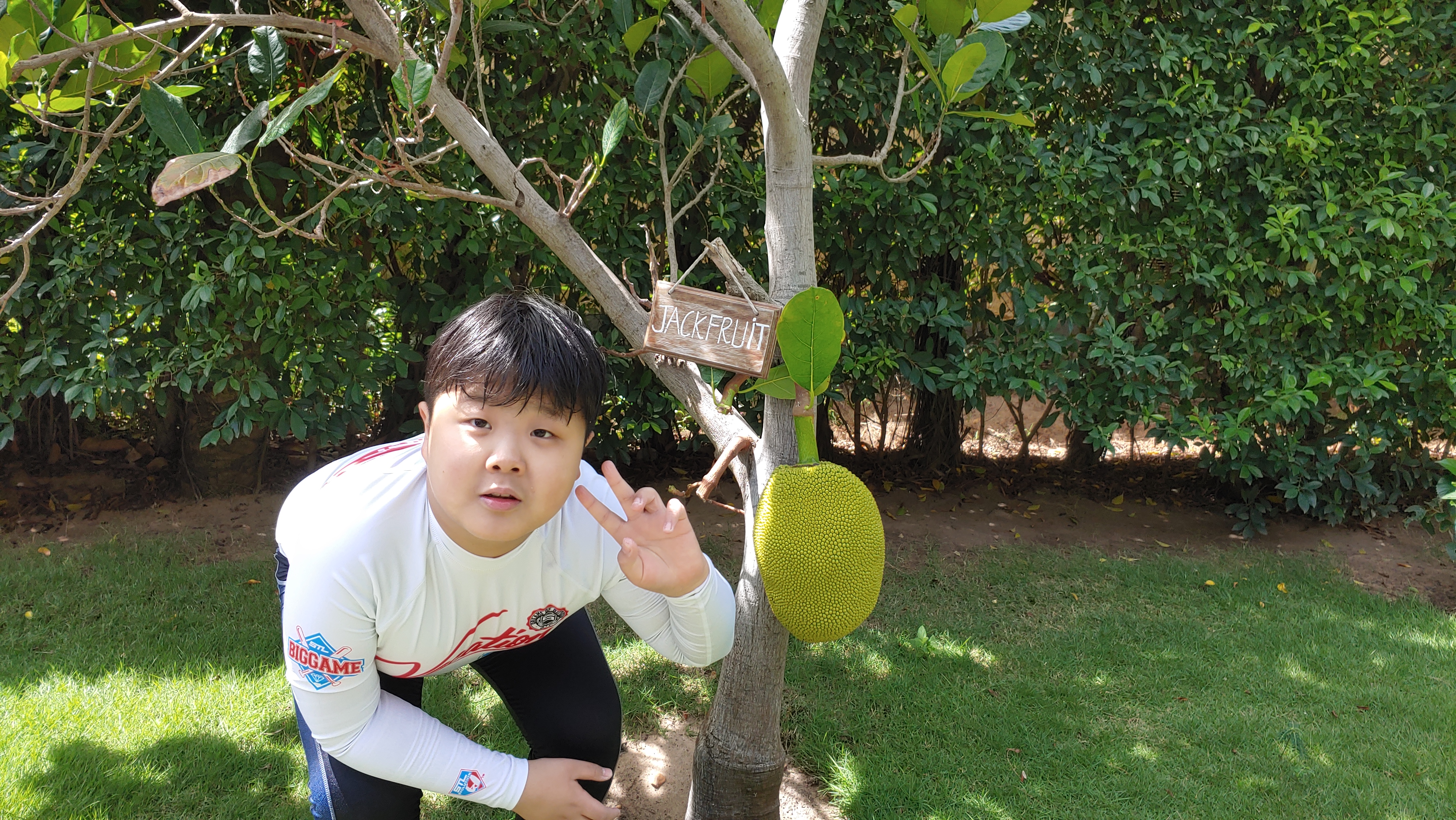 잭푸르츠 열매 앞 소년