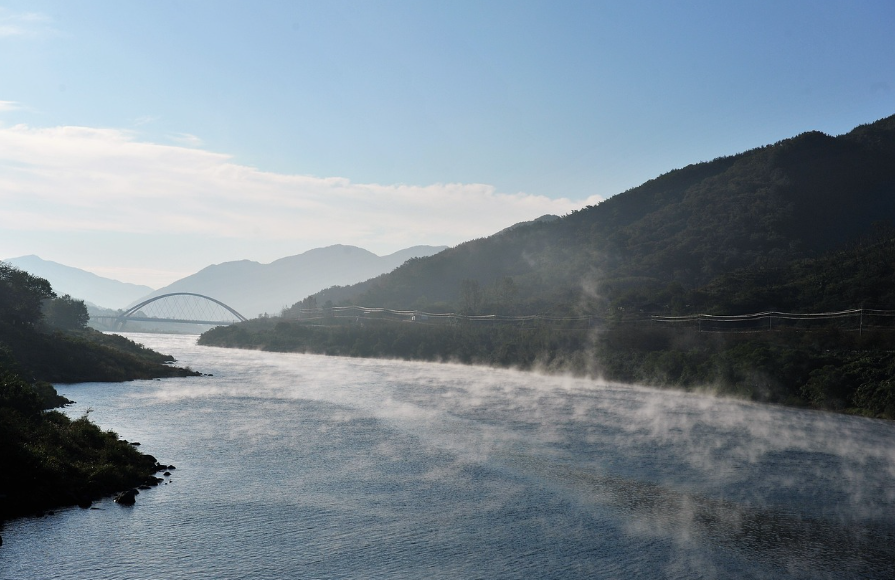 한강 vs. 섬진강 벚꽃길 비교: 거리, 풍경, 특징