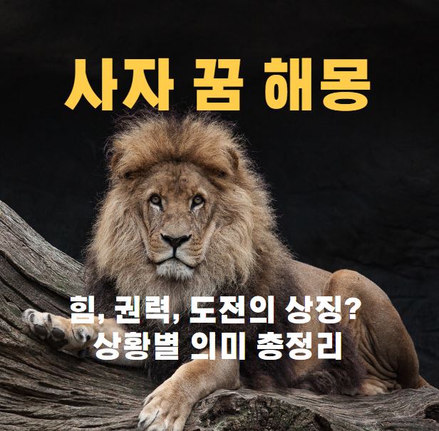 수컷사자 한마리가 나무위에 앉아있다.