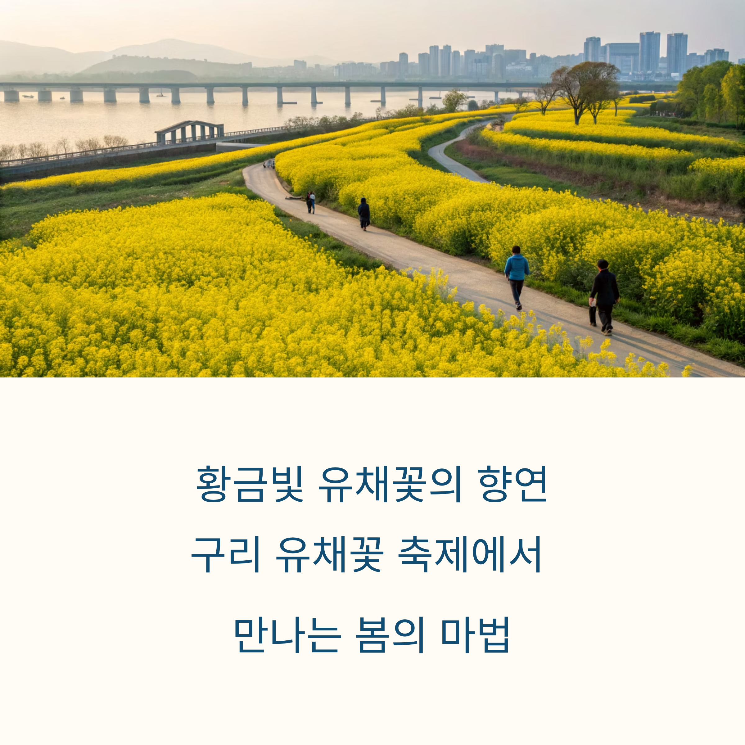 구리 유채꽃