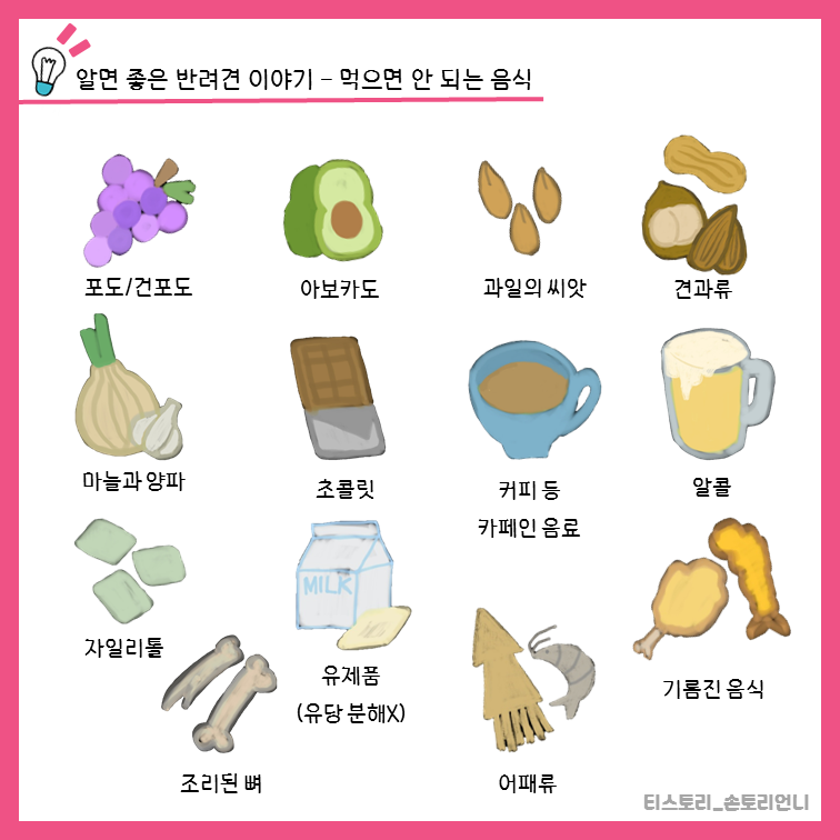 강아지가 먹으면 안 되는 음식 정리