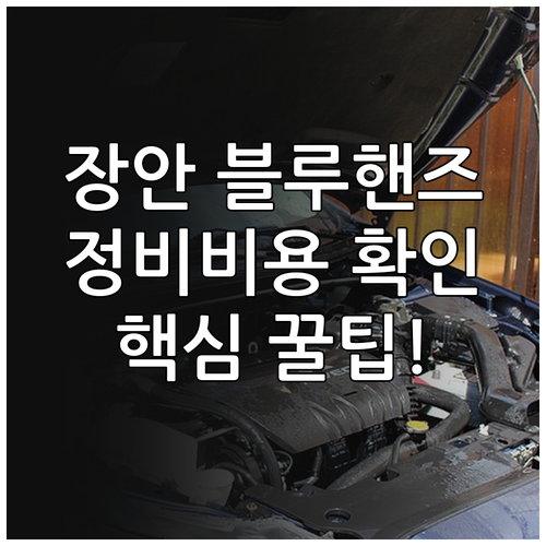 수원 장안구 지역 블루핸즈 이용 방법..