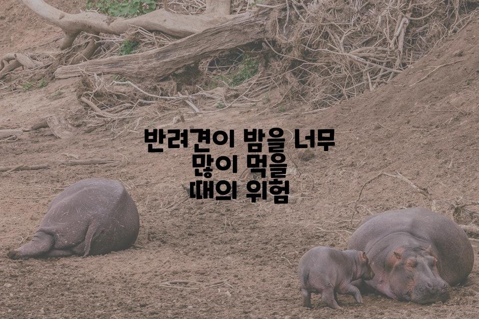 반려견이 밤을 너무 많이 먹을 때의 위험