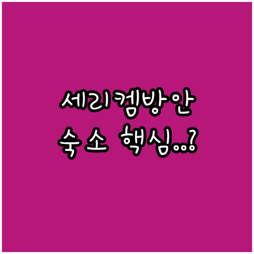 쿠알라룸푸르 근교 세리 켐방안 인기 ..