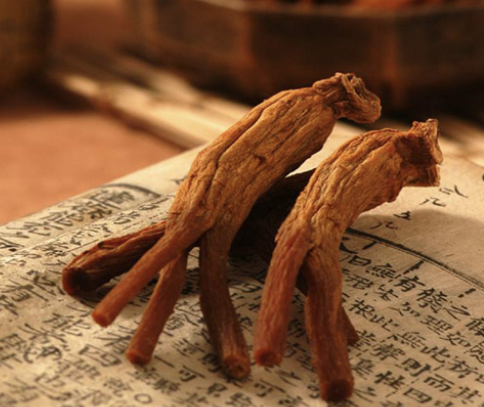 홍삼 건강기능식품 후기