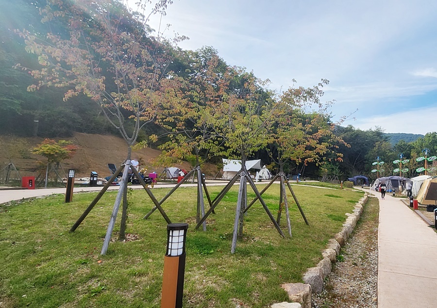 언덕이 약하게 있어 이용하기 꺼려지는 잔디밭