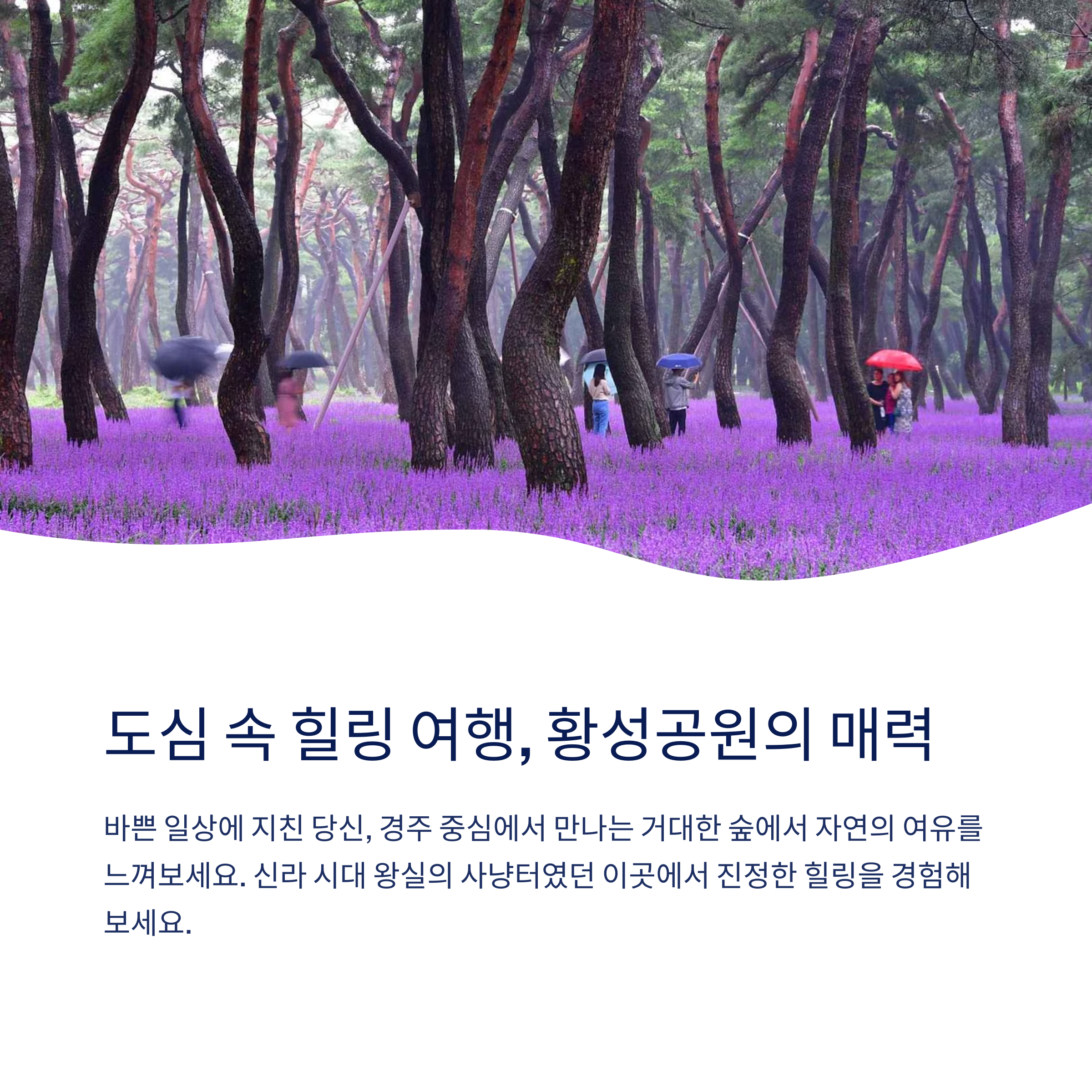 도심 속 힐링 황성공원
