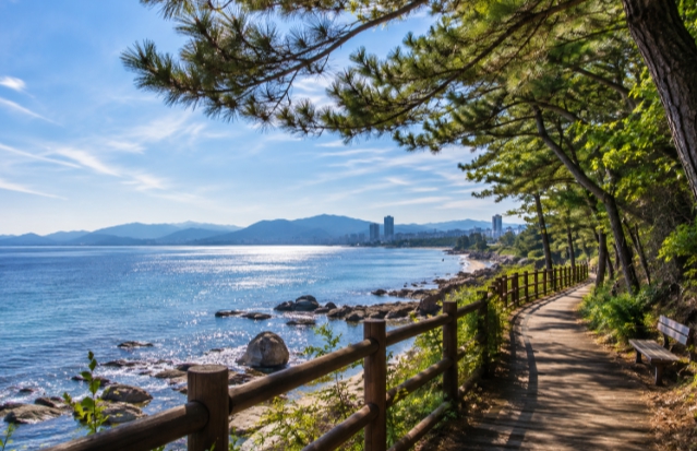 속초 산책 여행지