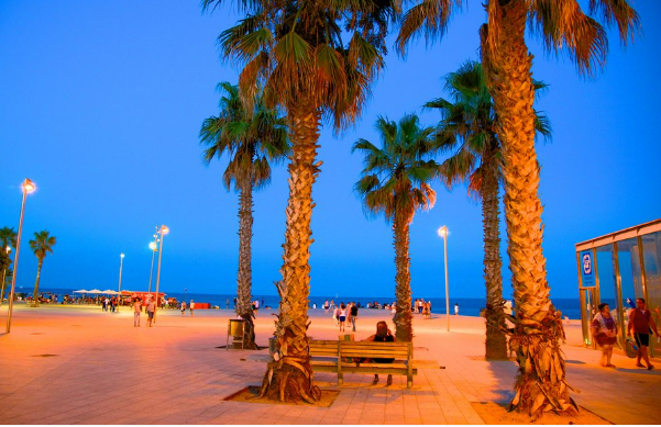 바르셀로네타해변&amp;#44;-부다페스트-치타델라-야경