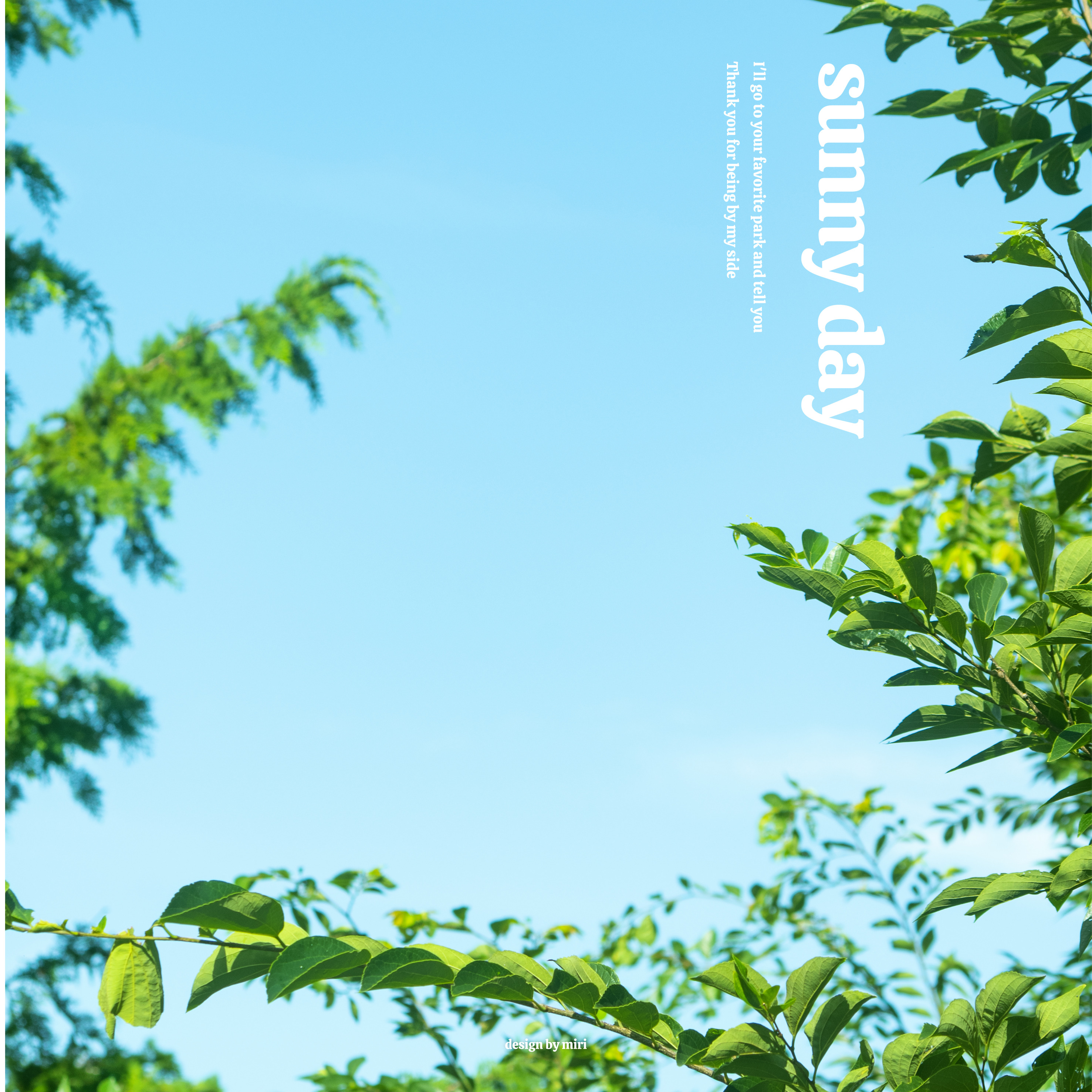 생활 속 칼로리 소모, Neat 활동 모음