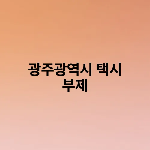 광주광역시 택시 부제