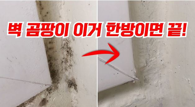 벽 곰팡이 이거 한방이면 끝