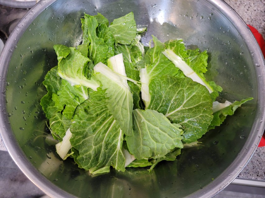 손질된 봄동을 볼에 담은 모습