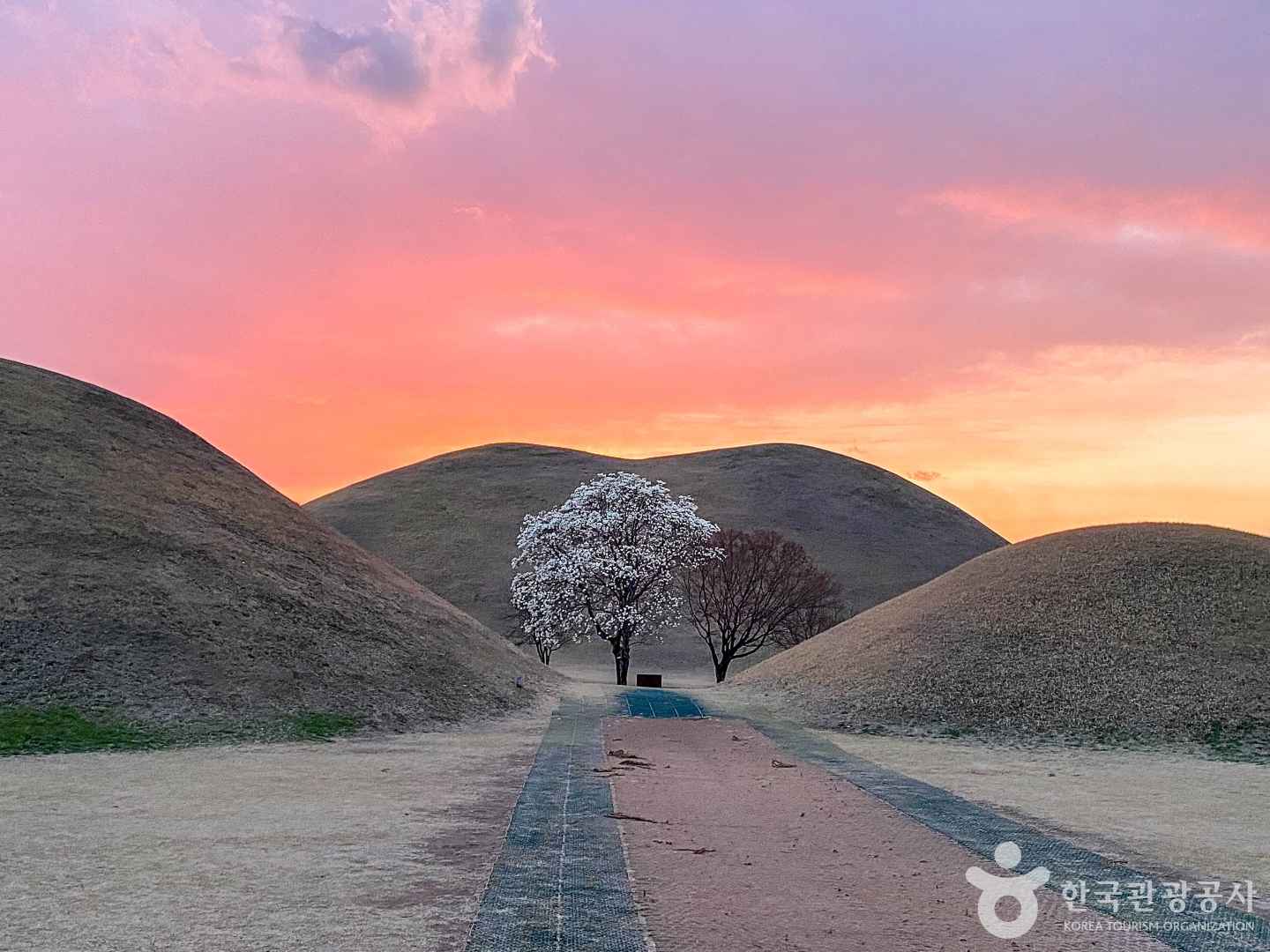 경주 대릉원 피크닉