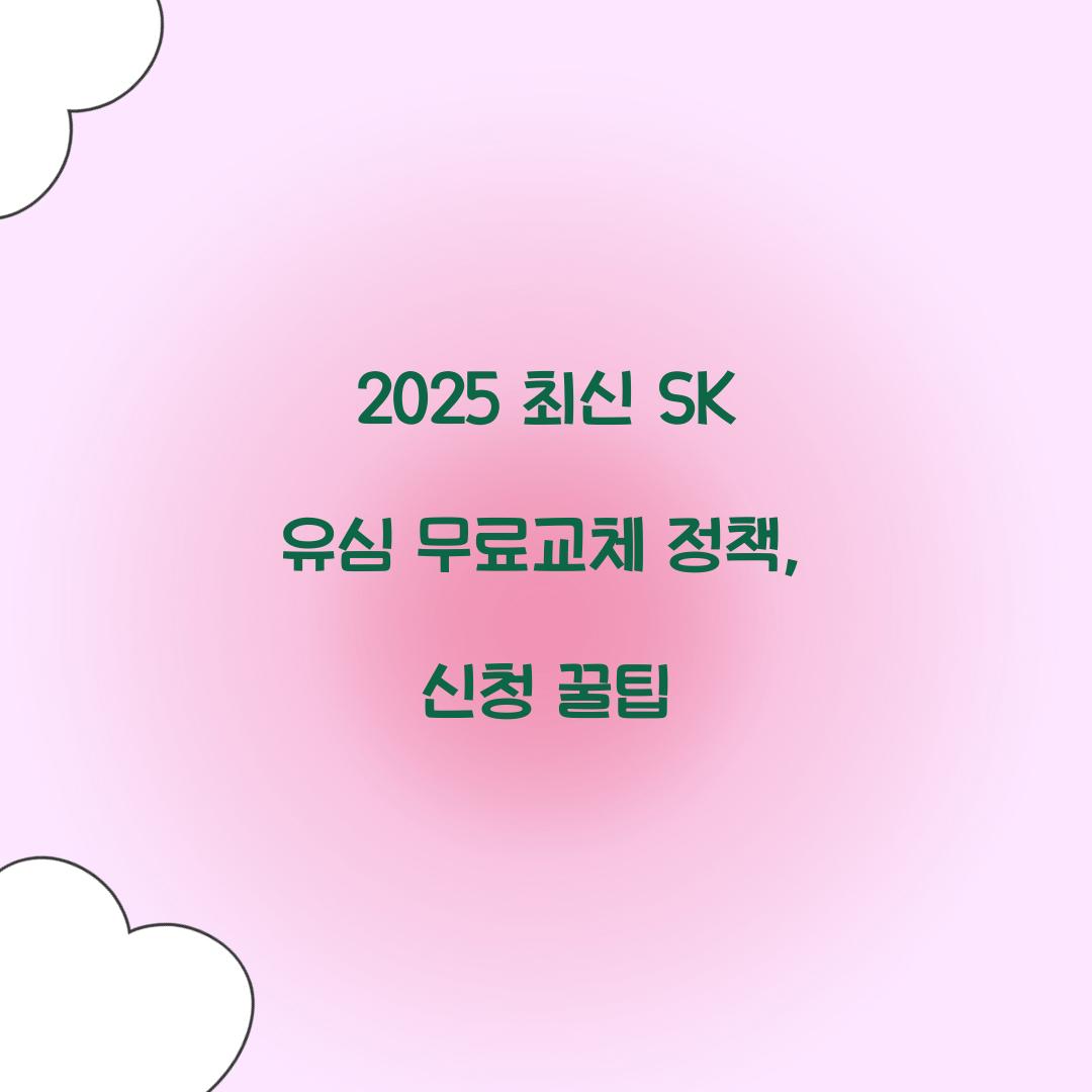 2025 최신 SK 유심 무료교체 정책