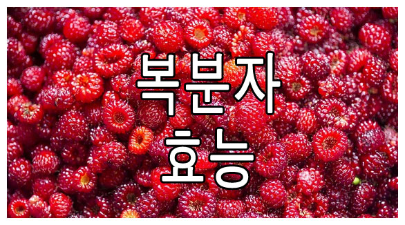 자연산 복분자 효능 섭취방법 알려드립니다.