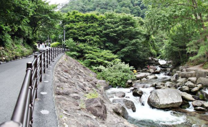 2025 가을 소백산 단풍 절정 &amp; 등산코스 가이드 ❘ 비로봉&middot;천동 코스&middot;주차장 정보