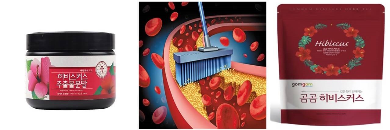 콜레스테롤 관리에 좋은 히비스커스