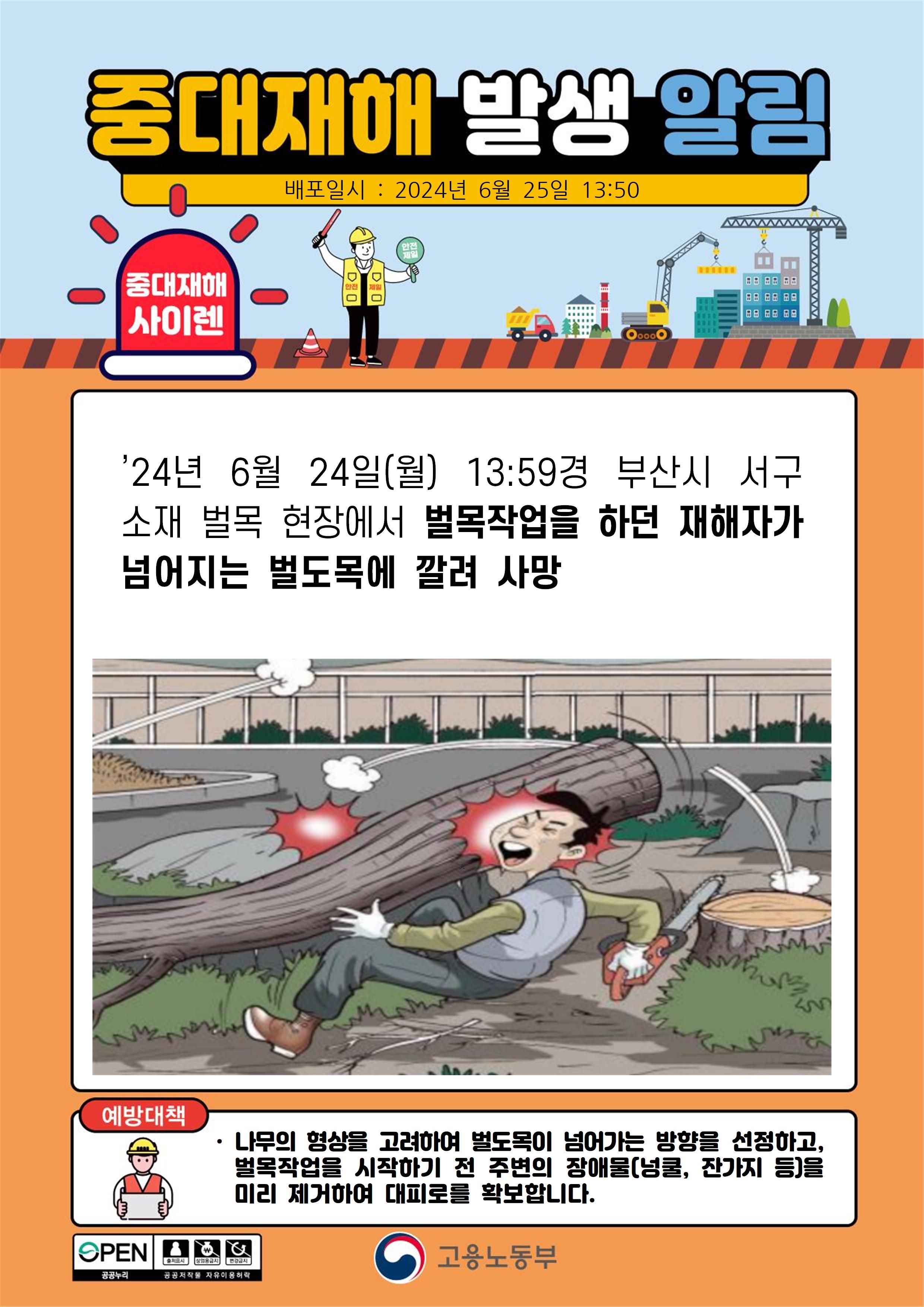 벌목작업을 하던 재해자가 넘어지는 벌도목에 깔려 사망