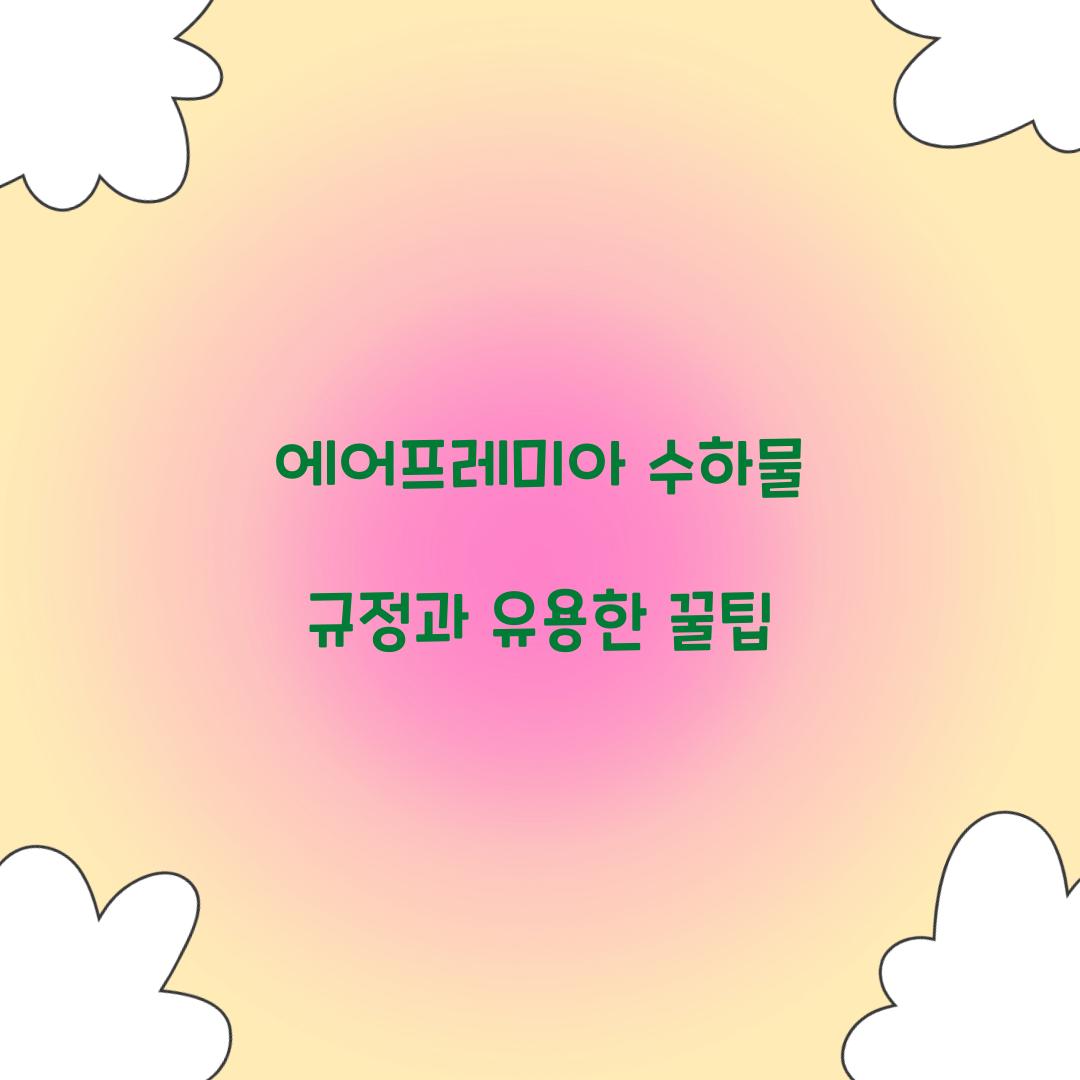 에어프레미아 수하물