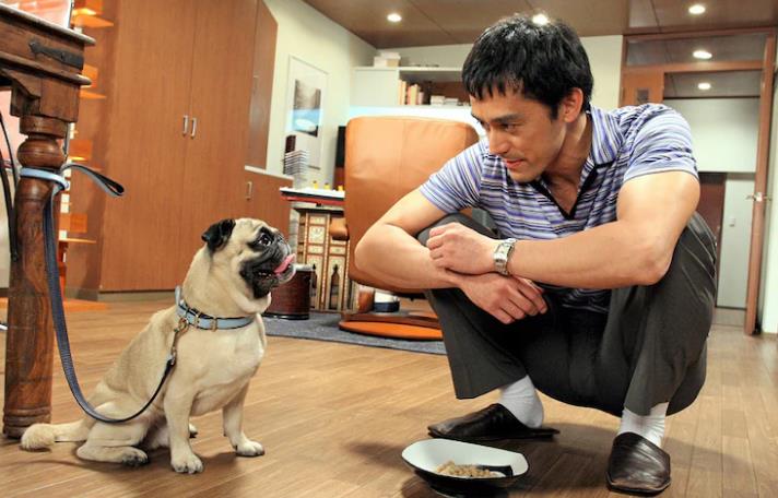 결혼 못하는 남자