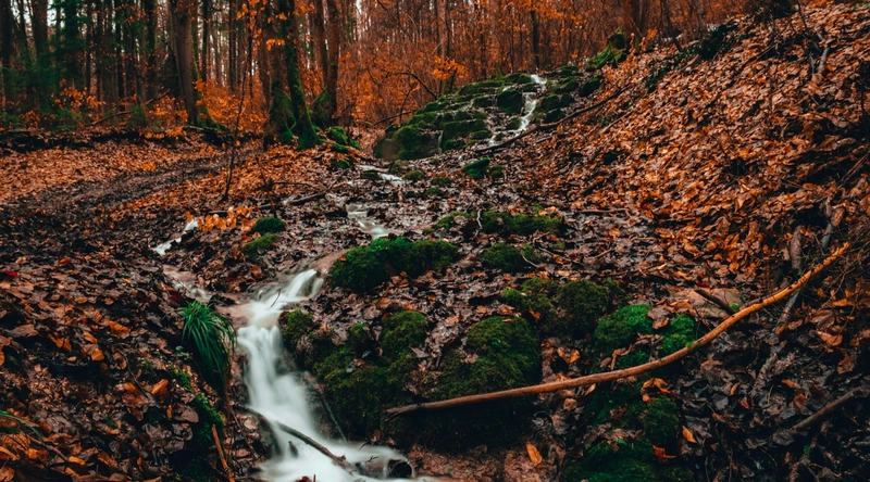 드론의 시대가 열리다