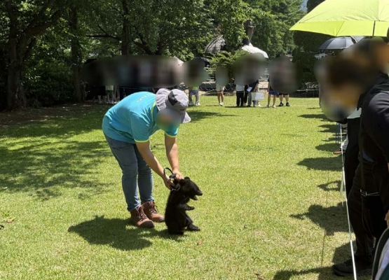 교육인가 학대인가? 동물원 체험의 실태