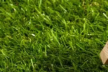 청년 주택드림 디딤돌 대출 조건, 신청 자격부터 금리까지