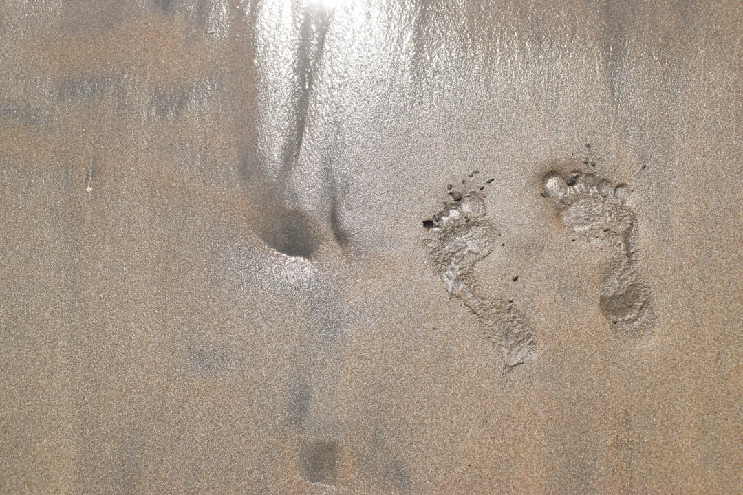 Step Counter