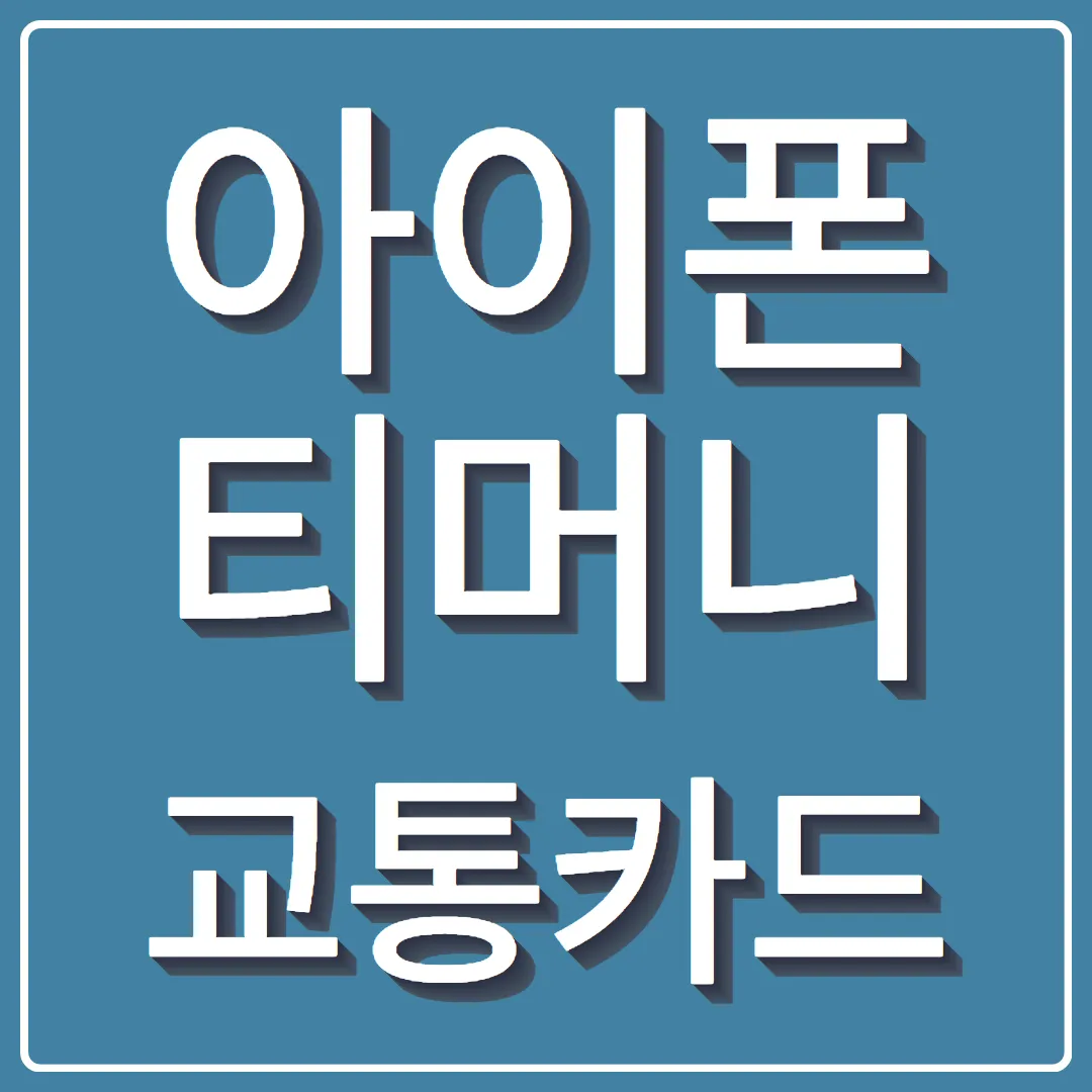 인천 교통 아이폰&middot;애플워치 티머니 NFC 교통카드