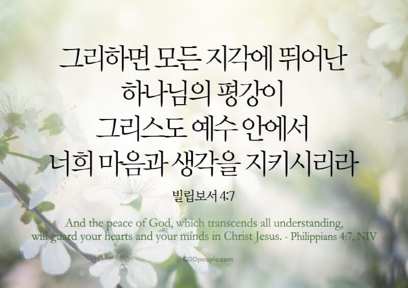 빌립보서 4장 7절 수험생에게 힘이 되는 말씀