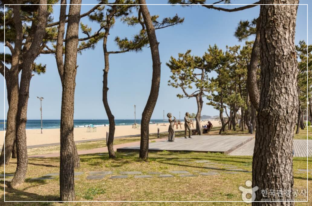 양양 가볼만한곳 베스트10 낙산해수욕장