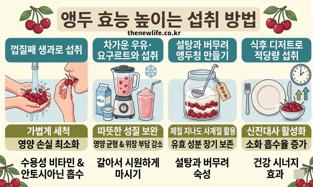 앵두 효능 높이는 섭취 방법