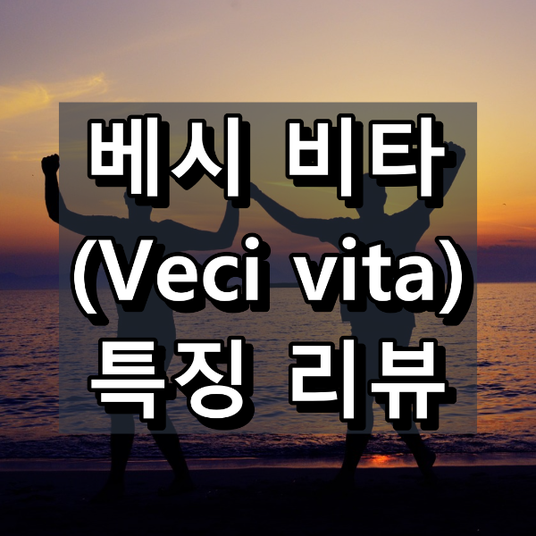 베시 비타 대표 이미지