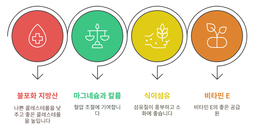 견과류와 씨앗류의 이점