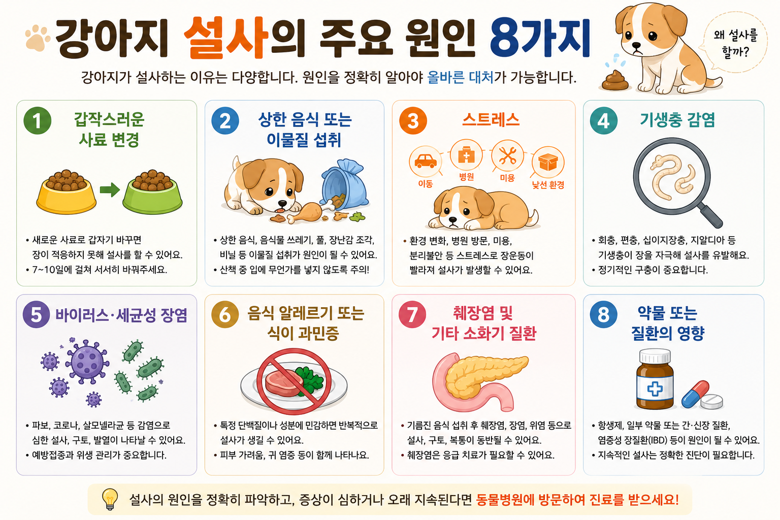 강아지 설사 주요 원인 8가지 비교 이미지