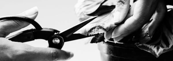 가지치기 방법: 작업 도구