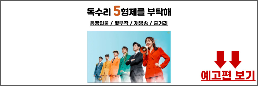 독수리 오형제를 부탁해 등장인물