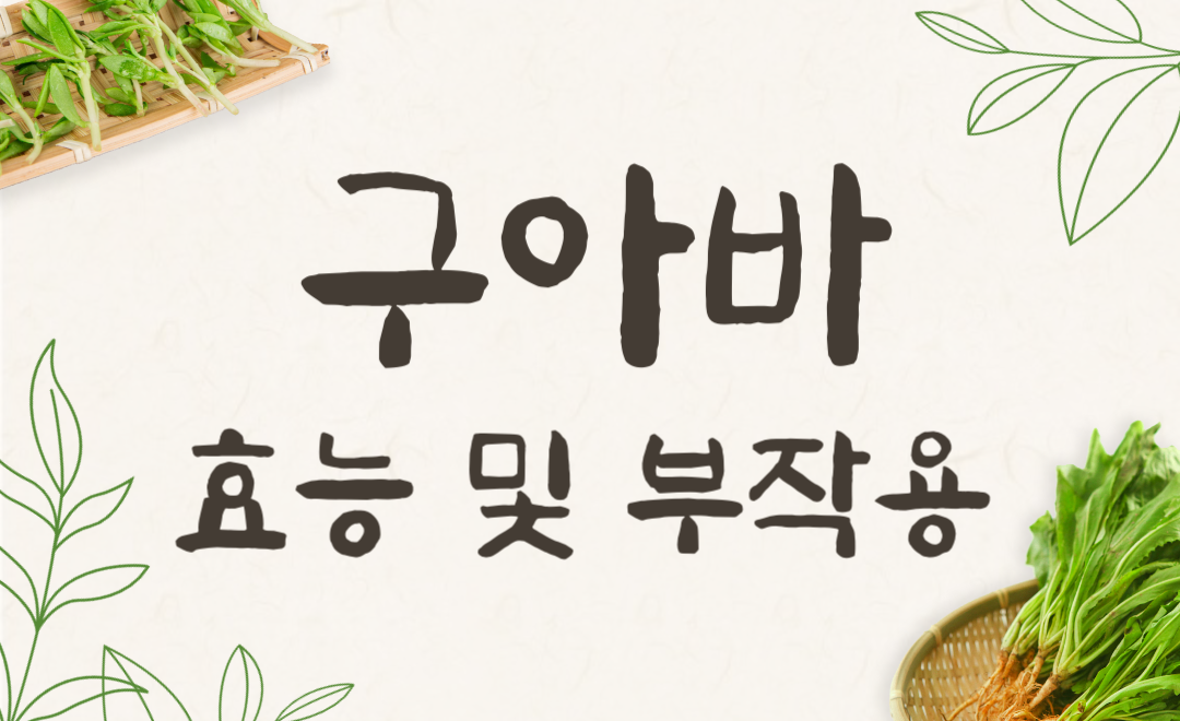 구아바 효능과 부작용