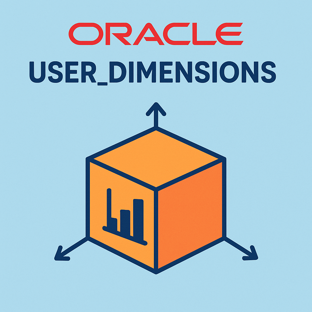 OLAP 환경에서의 차원 관리 비밀