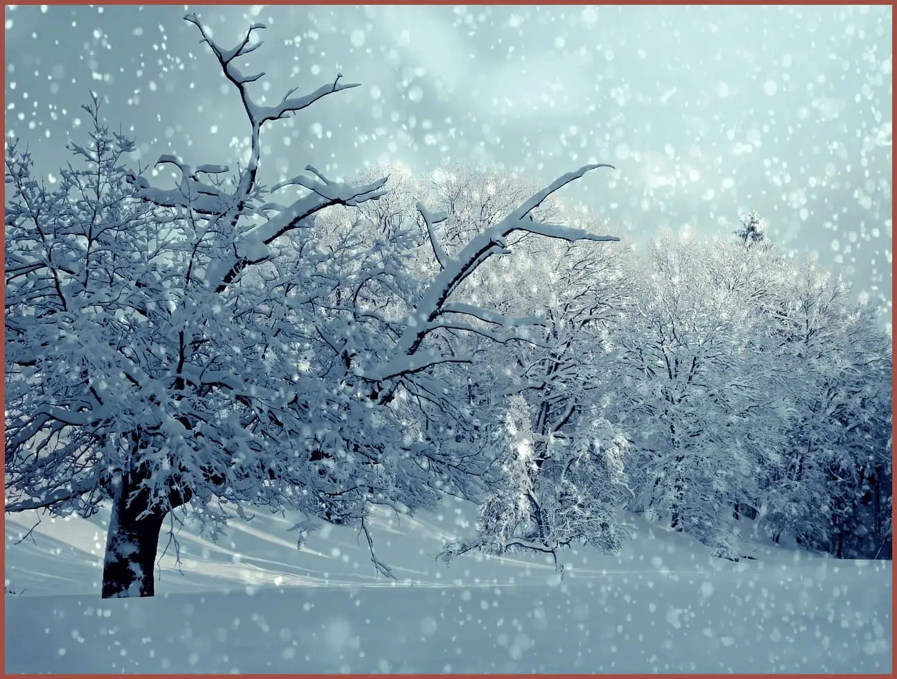 정기예금 이율높은곳