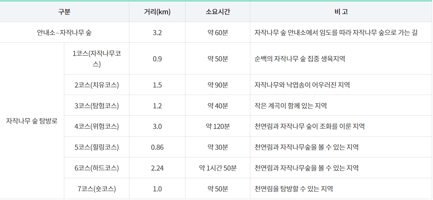 인제 자작나무숲